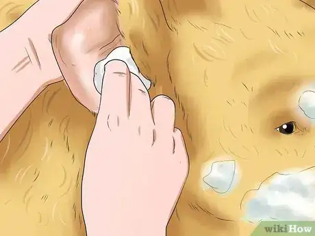 Imagen titulada Give Your Large Dog a Bath Step 10