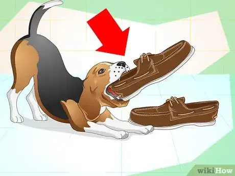 Imagen titulada Understand What Your Dog Wants Step 3