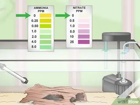 Imagen titulada Do a Fishless Cycle Step 11