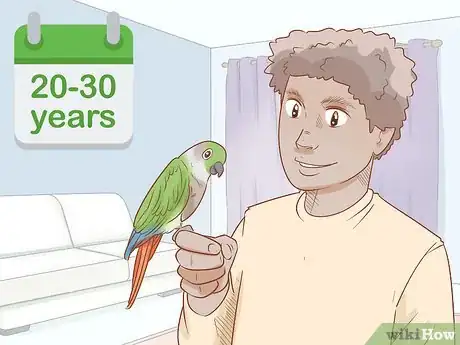 Imagen titulada Know if a Conure Is Right for You Step 1