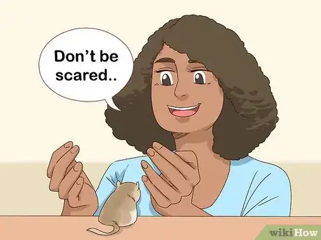 Imagen titulada React when Your Gerbil Bites or Scratches Step 5