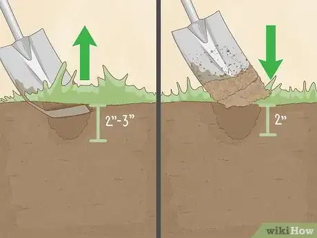 Imagen titulada Level a Bumpy Lawn Step 12