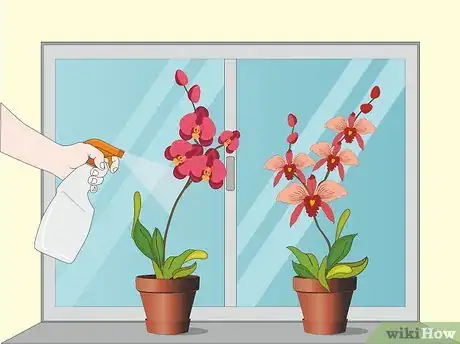 Imagen titulada Care for Orchids Step 7