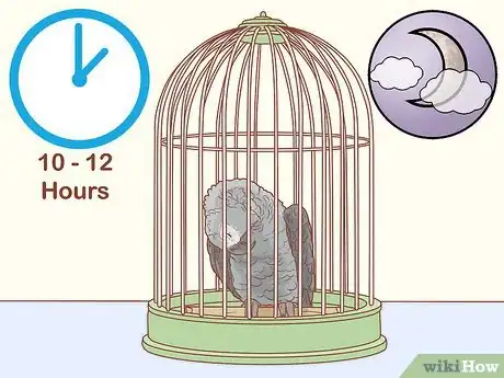 Imagen titulada Treat Respiratory Infections in African Grey Parrots Step 19