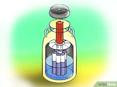 Imagen titulada Artificially Inseminate Cows and Heifers Step 6