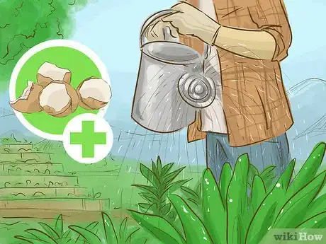 Imagen titulada Add Calcium to Soil Step 10