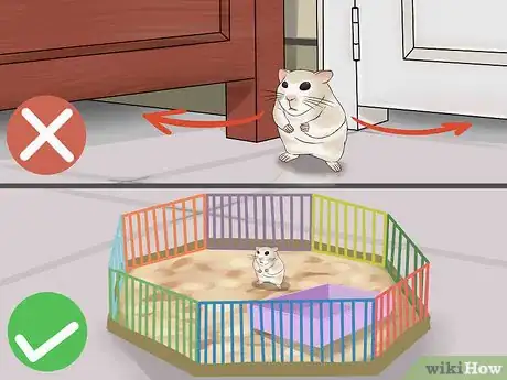 Imagen titulada Have Fun With Your Hamster Step 5