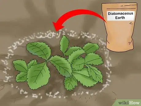 Imagen titulada Apply Diatomaceous Earth Outdoors Step 2