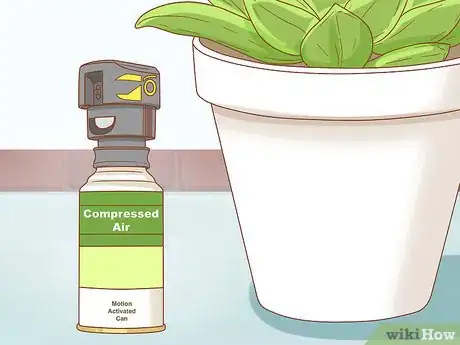 Imagen titulada Protect Your Houseplants from Pets Step 6