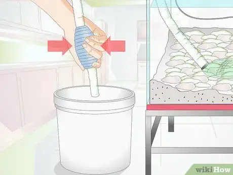 Imagen titulada Clean Aquarium Gravel Step 5