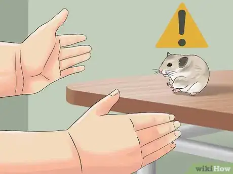 Imagen titulada Have Fun With Your Hamster Step 7