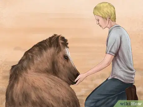 Imagen titulada Teach Your Horse to Lie Down Step 12