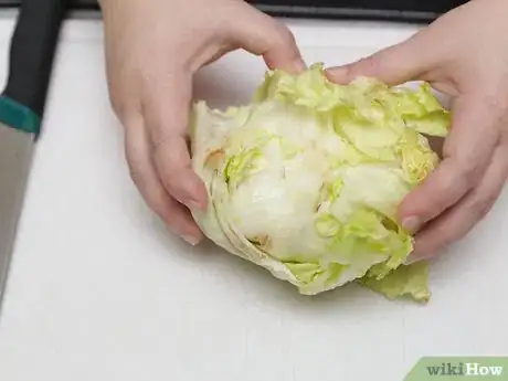 Imagen titulada Shred Lettuce Step 7