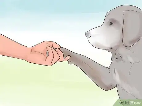 Imagen titulada Teach Your Dog to Shake Hands Step 5