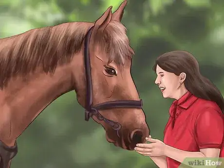 Imagen titulada Teach Your Horse to Lie Down Step 10