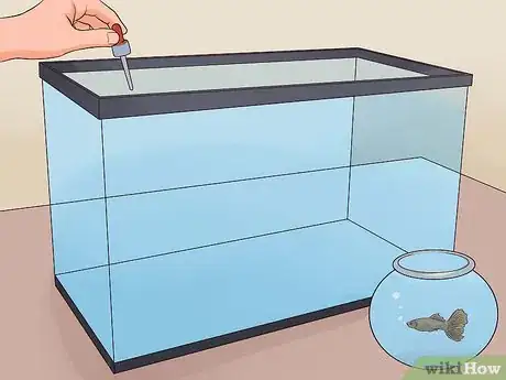 Imagen titulada Tell if a Betta Fish Is Sick Step 19