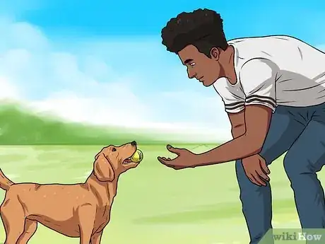 Imagen titulada Teach a Dog to Fetch Step 6