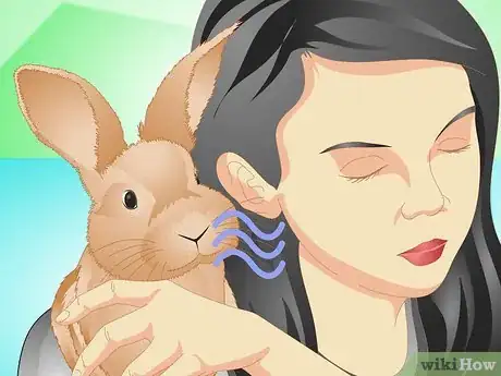 Imagen titulada Determine if Your Rabbit Is Sick Step 5