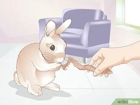 Imagen titulada Teach a Rabbit Not to Chew Furniture Step 6