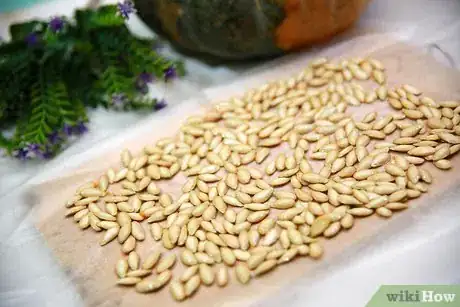 Imagen titulada Clean Pumpkin Seeds Step 10