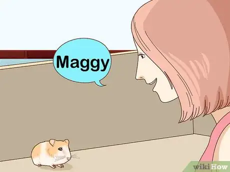 Imagen titulada Train Your Hamster to Come when You Call Step 11