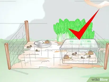 Imagen titulada Build a Snail House Step 14