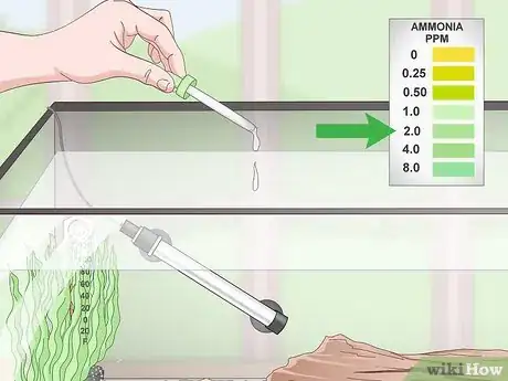 Imagen titulada Do a Fishless Cycle Step 9