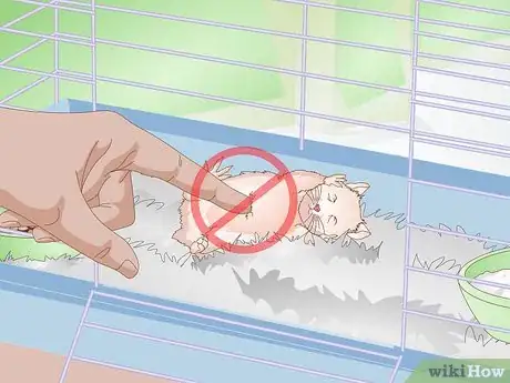 Imagen titulada Wake up Your Hamster Without Scaring It Step 4