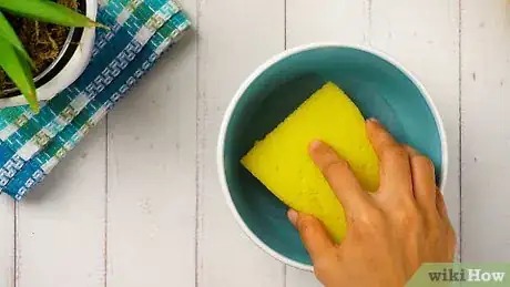 Imagen titulada Clean a Sponge in the Microwave Step 2