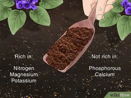 Imagen titulada Use Coffee Grounds in Your Garden Step 4