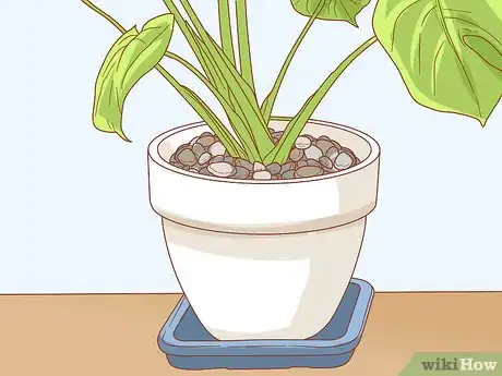 Imagen titulada Protect Your Houseplants from Pets Step 8