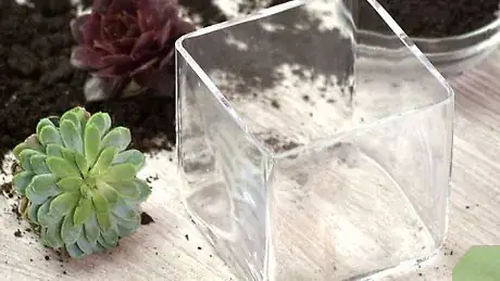 Imagen titulada Make a Terrarium Step 3