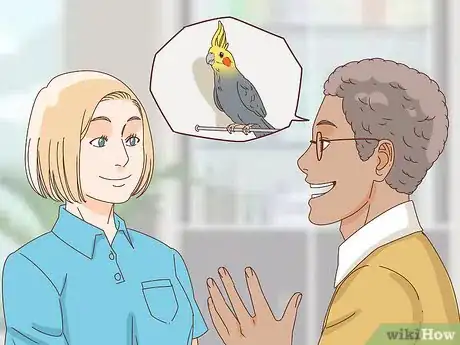 Imagen titulada Buy a Pet Cockatiel Step 5