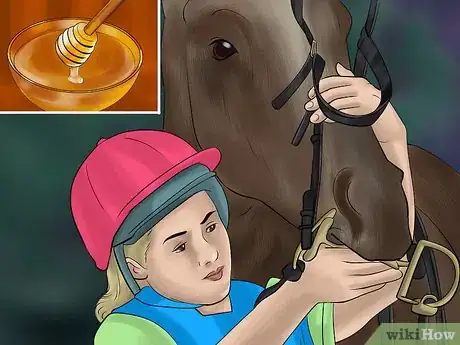 Imagen titulada Get Your Horse to Work on the Bit Step 5