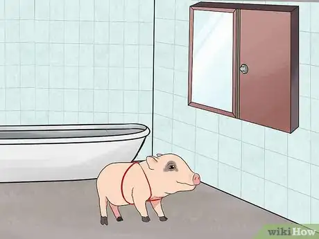 Imagen titulada House Train a Pig Step 9