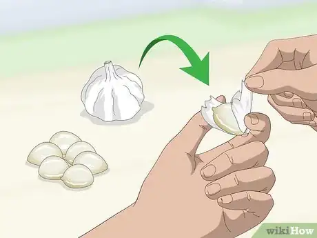 Imagen titulada Make Garlic Garden Spray Step 1