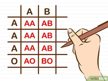 Imagen titulada Determine Your Baby's Blood Type Using a Punnett Square Step 8