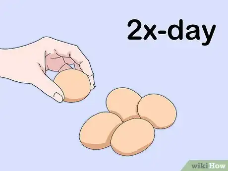 Imagen titulada Sell Chicken Eggs Step 5