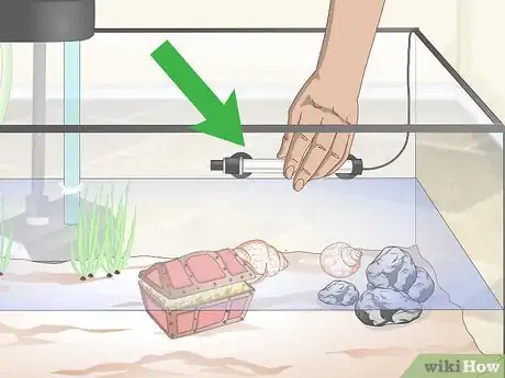 Imagen titulada Set up a Guppy Tank Step 6