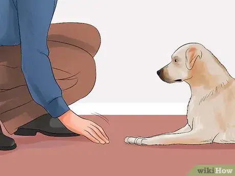 Imagen titulada Teach Your Dog to Play Dead on Command Step 1