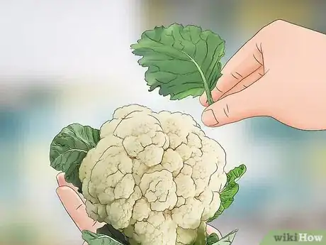 Imagen titulada Harvest Cauliflower Step 5