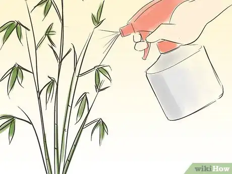 Imagen titulada Care for an Indoor Bamboo Plant Step 5