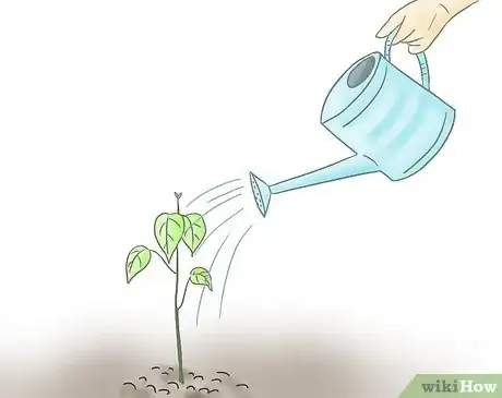 Imagen titulada Start Guerrilla Gardening Step 6