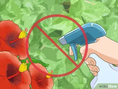 Imagen titulada Kill Weeds With Vinegar Step 5