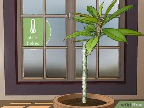 Imagen titulada Grow Plumeria from Cuttings Step 14