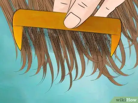 Imagen titulada Use a Lice Comb on Dry Hair Step 2