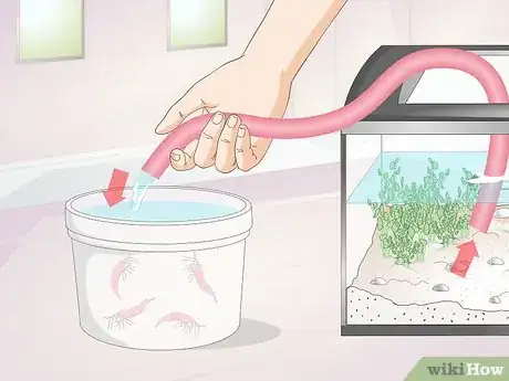 Imagen titulada Make a Shrimp Aquarium Step 12