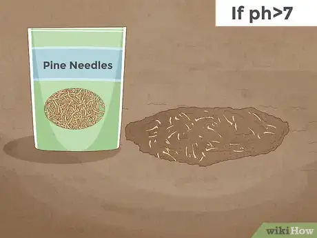 Imagen titulada Test Soil pH Step 11