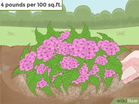 Imagen titulada Change the Color of Hydrangeas Step 11