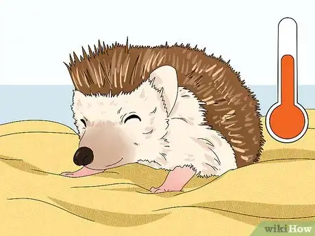 Imagen titulada Care for a Hedgehog with Wobbly Hedgehog Syndrome Step 6